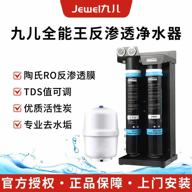 九儿反渗透商用净水器RO膜大流量直饮净水器双联咖啡店奶茶店甜品