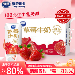银桥草莓牛奶酸奶生牛乳风味酸牛奶