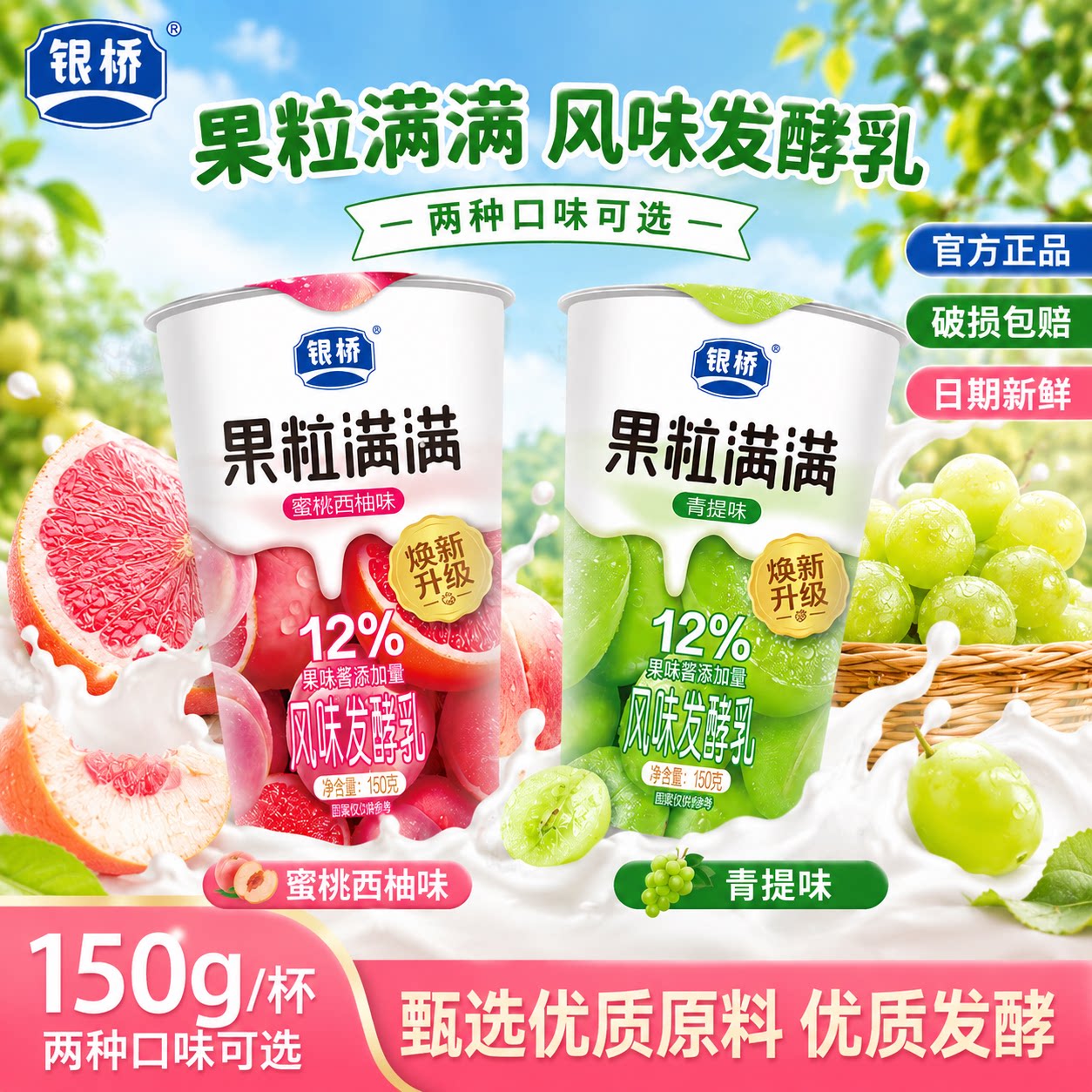 银桥酸奶果粒满满风味酸牛乳