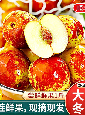 【特价尝鲜】陕西大荔冬枣脆枣节日送礼新鲜水果1斤装