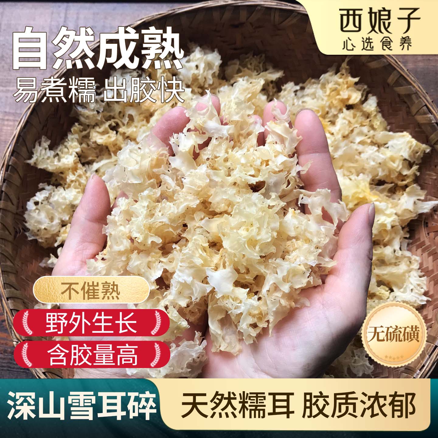 【易出胶超软糯】通江雪耳无硫图片