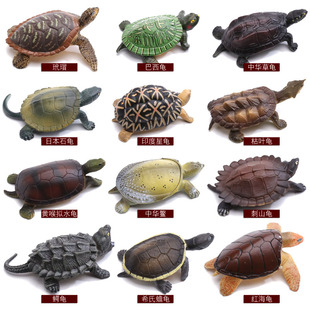 仿真儿童玩具小乌龟海巴西鳄蟾星拟水枯叶龟鳖塑胶两栖动物
