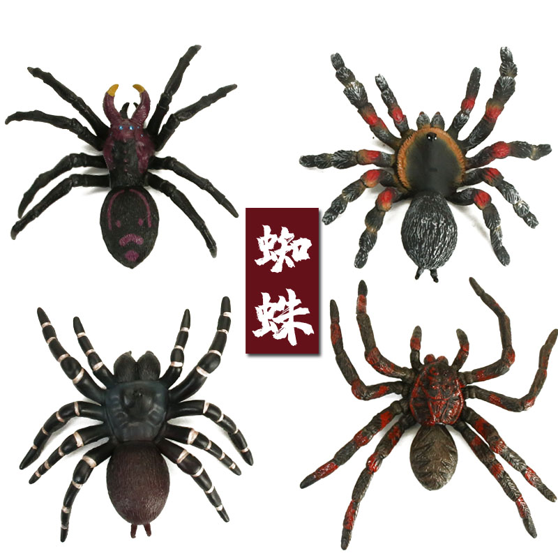 儿童仿真大号蜘蛛动物玩具