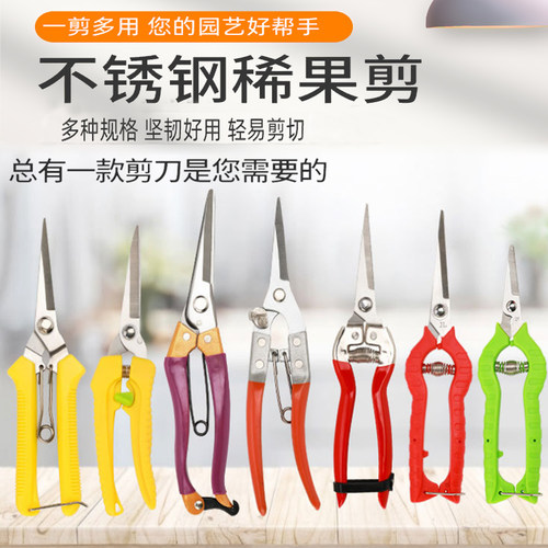葡萄修枝剪园艺采果柑橘包邮