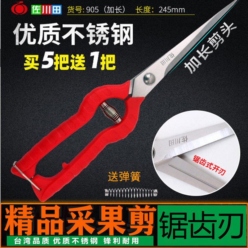 稀果修果剪葡萄枝专用剪刀翘头蔬果采果剪子水果园橘子果树摘果剪