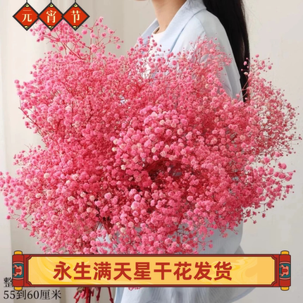 永生满天星干花真花家居婚庆装饰插花橱窗软装造景梦幻星云南直发