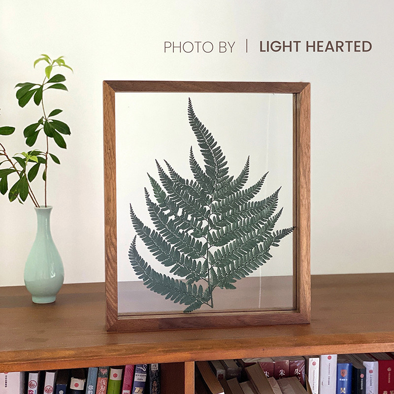 植物标本胡桃木相框装饰画干花