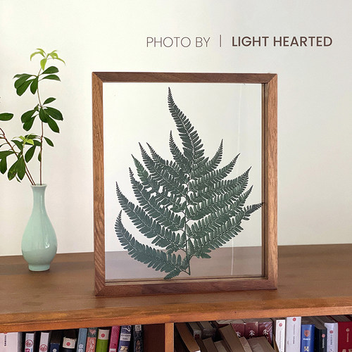 植物标本胡桃木相框装饰画干花