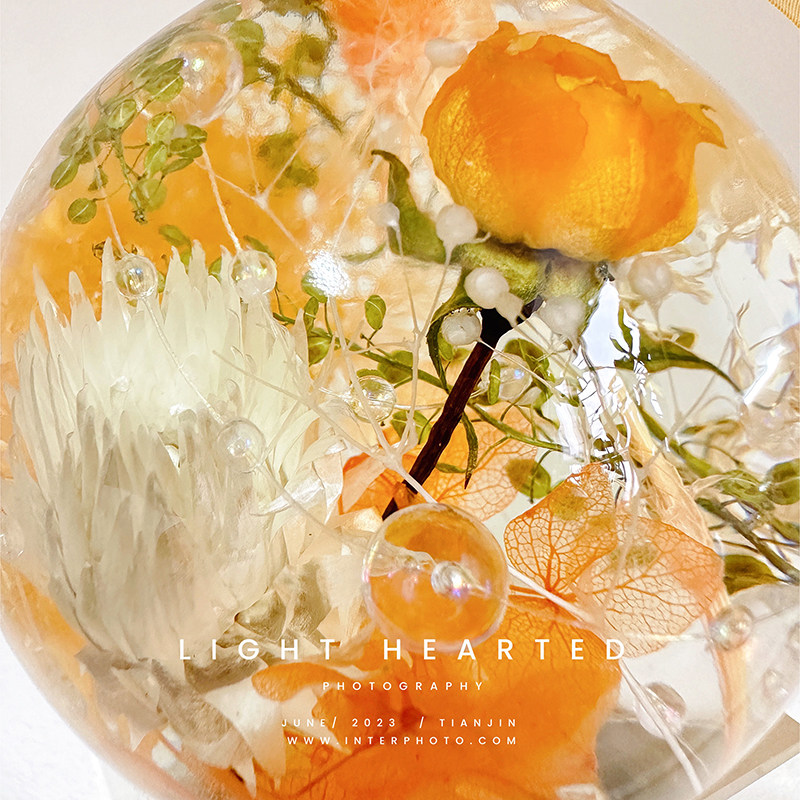 浮游花植物标本干花永生花礼物