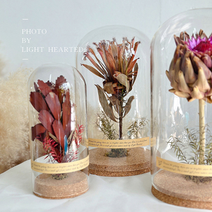 永生花干花帝王花植物标本玻璃罩微景观教室客厅样板间摆件礼物