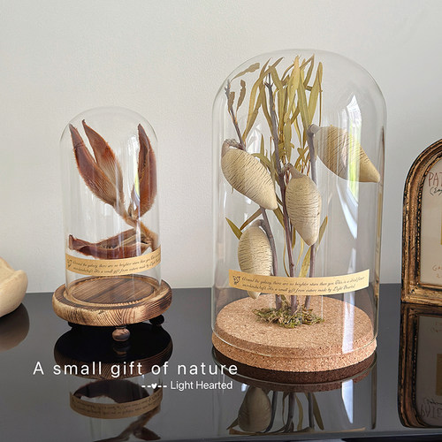 植物标本干花玻璃罩文艺质感摆件