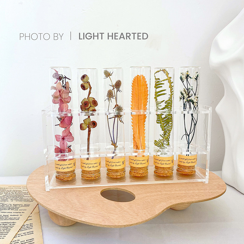 永生干花试管植物标本桌面摆件