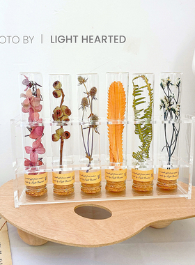 干花永生花玻璃试管植物标本样板间摆件店铺软装饰生日节日礼物