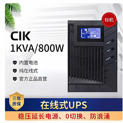山特UPS不间断电源CASTLE