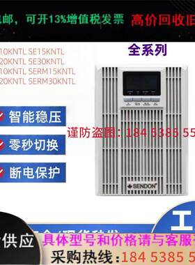 山顿UPS不间断电源SD1KNTL/ SE10KNTL主机伺服器电脑备用电源1KVA