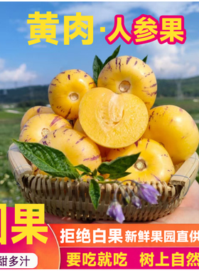【5斤装】黄果云南石林人参果路花村圆果黄肉多汁低糖水果自然熟