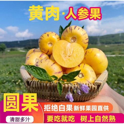 树上熟人参果黄果黄肉