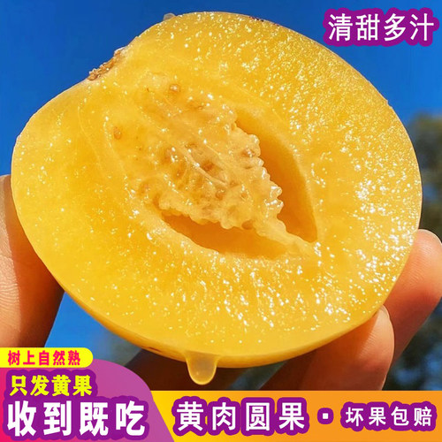 整箱人参果低糖圆果黄果