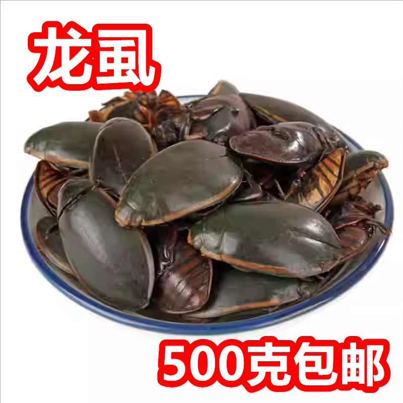 中药材金边龙虱500克g包邮 大金边龙虱水蟑螂水鳖虫射尿龟 干货