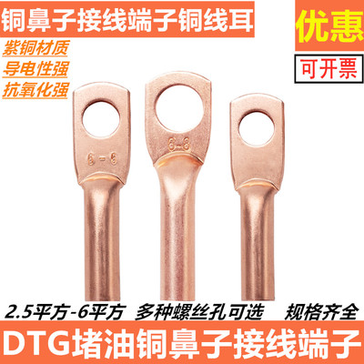 铜鼻子DTG-2.5 4 6平方孔径4 6 8接线端子线头线耳电缆接头紫铜鼻