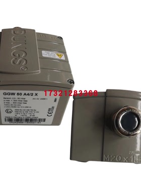 GGW50A4/2X GGW50A4 GW50A4 GGW150A4/2X GGW150A4 压力开关
