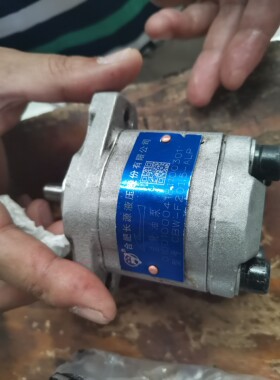 合肥长源液压齿轮泵 CBW-F203-ALP AFP盾构机 齿轮泵HCHC小型油泵