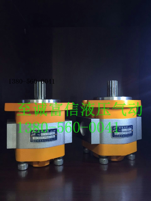 CBK-G436-AFφ齿轮油泵SaiYuan