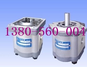 CBW-F304-ALP ALB CLPL TFZBL CFH合肥赛源液压齿轮油泵SAI YUAN