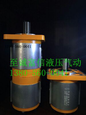 CBQL-F563/F516-CFHL油泵SaiYuan
