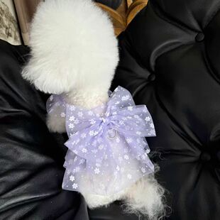 宠物泰迪狗透气春夏爱心网纱飞袖裙薄款防晒衣服泰迪比熊公主裙子