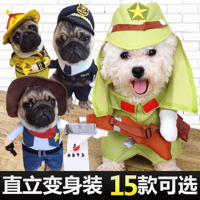 宠物搞笑变身衣服巴哥猫咪