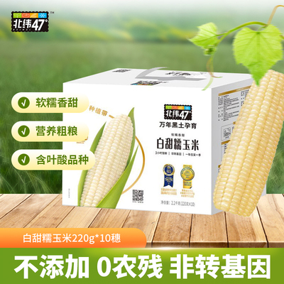 北纬47度白甜糯玉米220g*10软糯香甜自然本味营养粗粮饱腹感水煮