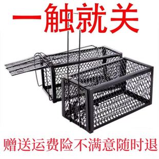 老鼠特效一锅端家用药室内外强效灭鼠防鼠耗子神器驱赶专用药