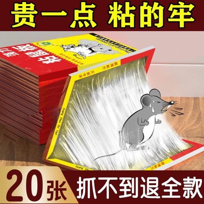 20张粘鼠板超强力老鼠贴胶笼子驱鼠灭鼠器大老鼠克星家用捕鼠专业
