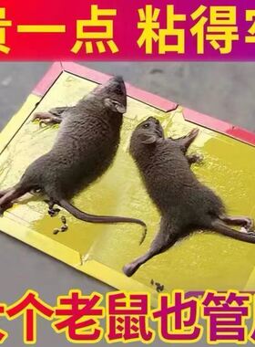 粘鼠板强力胶粘大老鼠贴胶抓鼠灭鼠捕鼠神器超强家用老鼠粘全窝端
