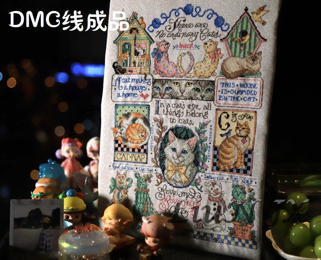刘年锦绣 正品DMC线R线十字绣自配套件 非印花 JAN 023-0240