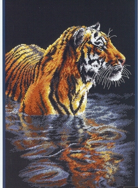 刘年锦绣正品法国DMC线自配十字绣套件非印花 DIM 35222