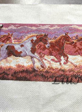 刘年锦绣 正品DMC线R线十字绣自配套件 非印花 Dim 65024