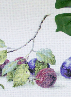 刘年锦绣 正品ANC绣线十字绣自配套件 非印花 Luca-S2257青果