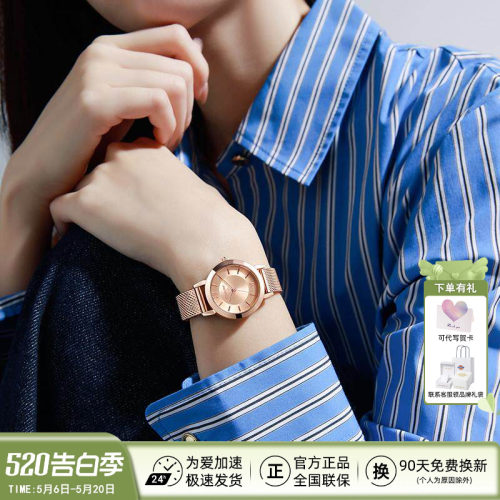 Dickies简约轻奢气质钢带腕表女