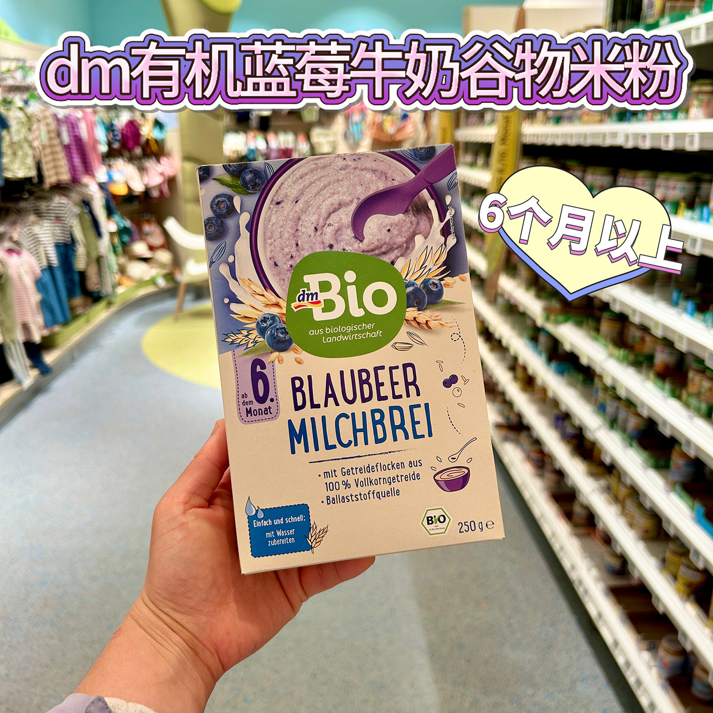 德国dm BIO有机蓝莓牛奶谷物米粉宝宝米糊 代购直邮6个月以上250g