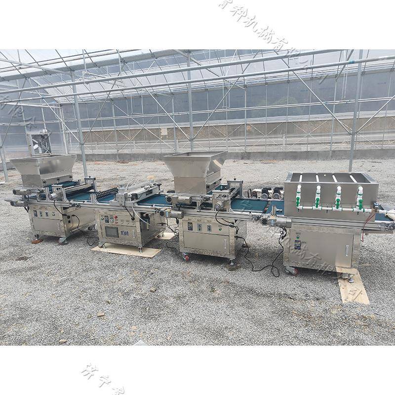 滚筒式穴盘育苗播种机蔬菜种子育秧点籽机育苗盘铺土播种一体机