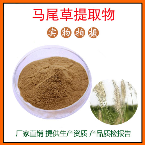 马尾草提取物30:1 马尾草粉 植物提取物 量大从优 资质齐全 包邮