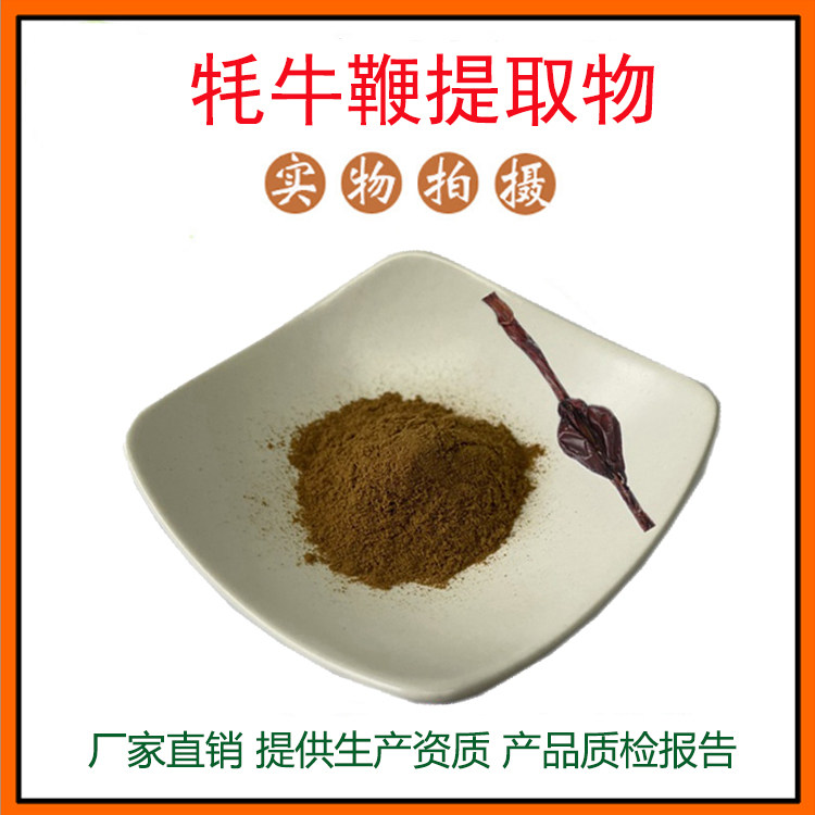牦牛鞭提取物30:1牛鞭粉 牛肾粉 牦牛骨髓肽粉 量大从优 现货包邮