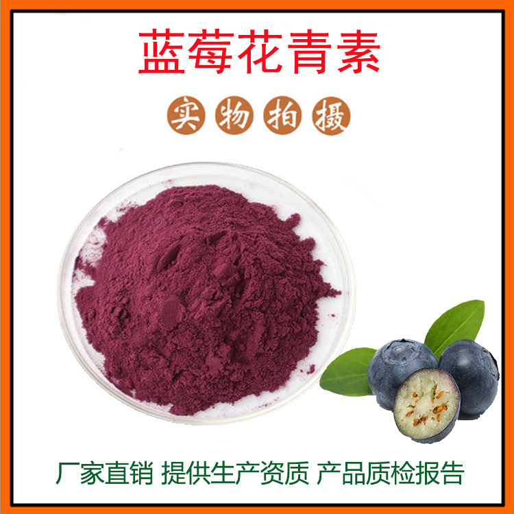 蓝莓花青素25% 蓝莓果粉 蓝莓提取物  蓝莓冻干粉 量大从优 包邮