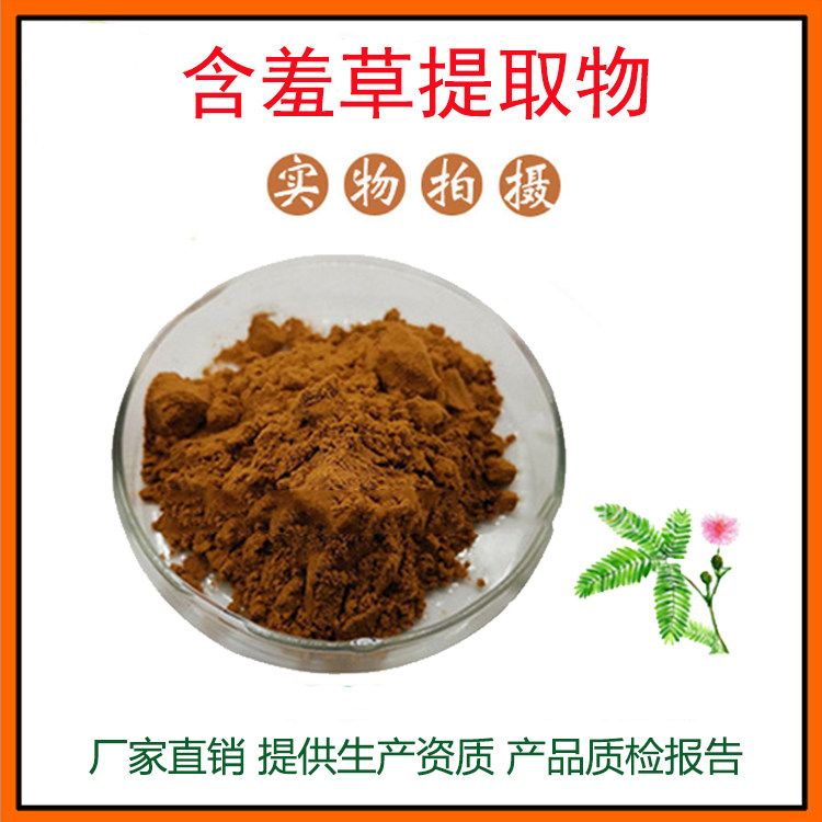 含羞草提取物30:1含羞草粉 植物怕羞草、害羞草粉 量大从优 包邮