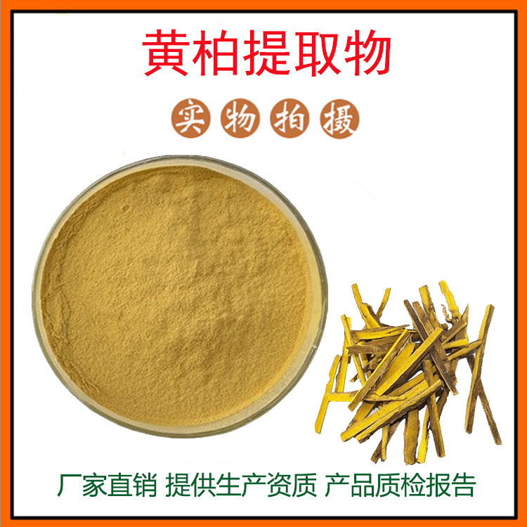 黄柏提取物30:1黄柏粉 植提川黄柏 黄柏冻干粉 黄柏碱 包邮
