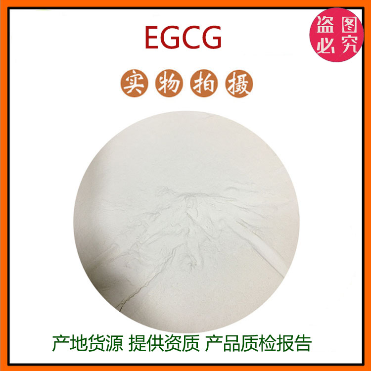 EGCG 98% 表没食子儿茶素没食子酸酯 绿茶提取物 现货包邮