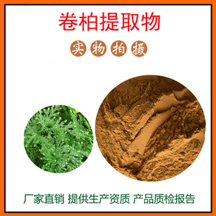 卷柏提取物30:1 卷柏粉 石柏粉 量大从优 资质齐全 现货包邮