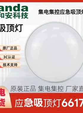 泰和安消防应急照明灯具TS-ZFJC-E3W-6617A吸顶式安装36v集电集控